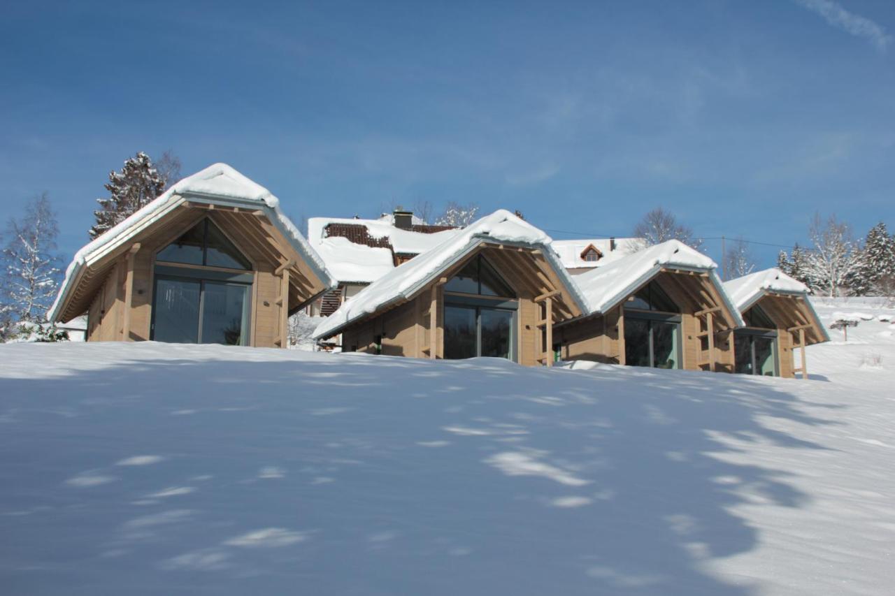 Chalets Am Roessle تودموس المظهر الخارجي الصورة