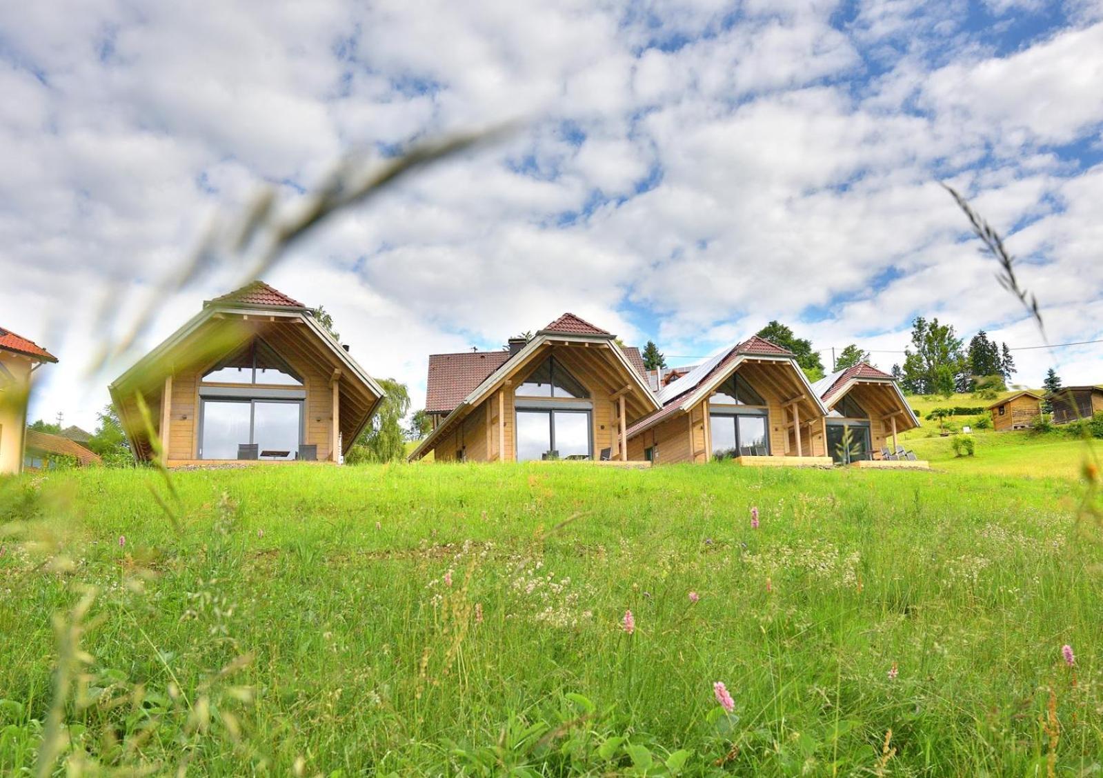 Chalets Am Roessle تودموس المظهر الخارجي الصورة